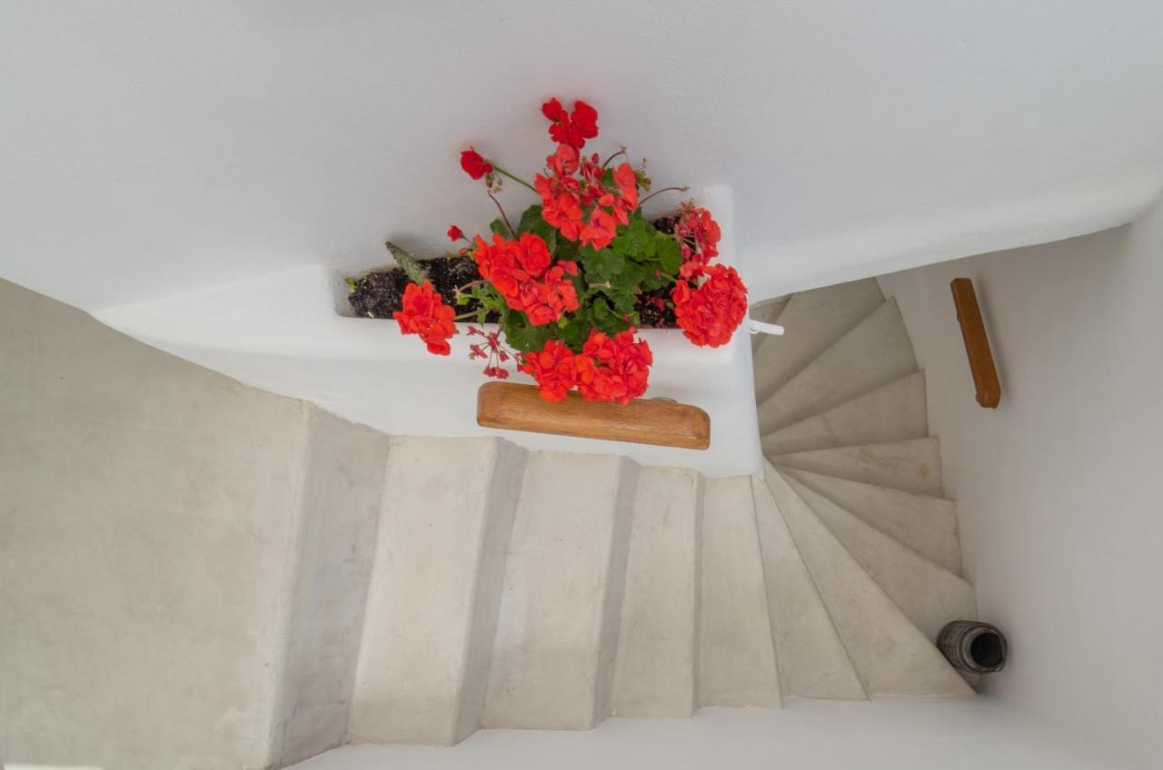 Lasia Boutique Apartment Andros Town Bagian luar foto